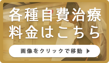 各種自費治療料金